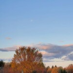 fall Rosewood Oakdale wm